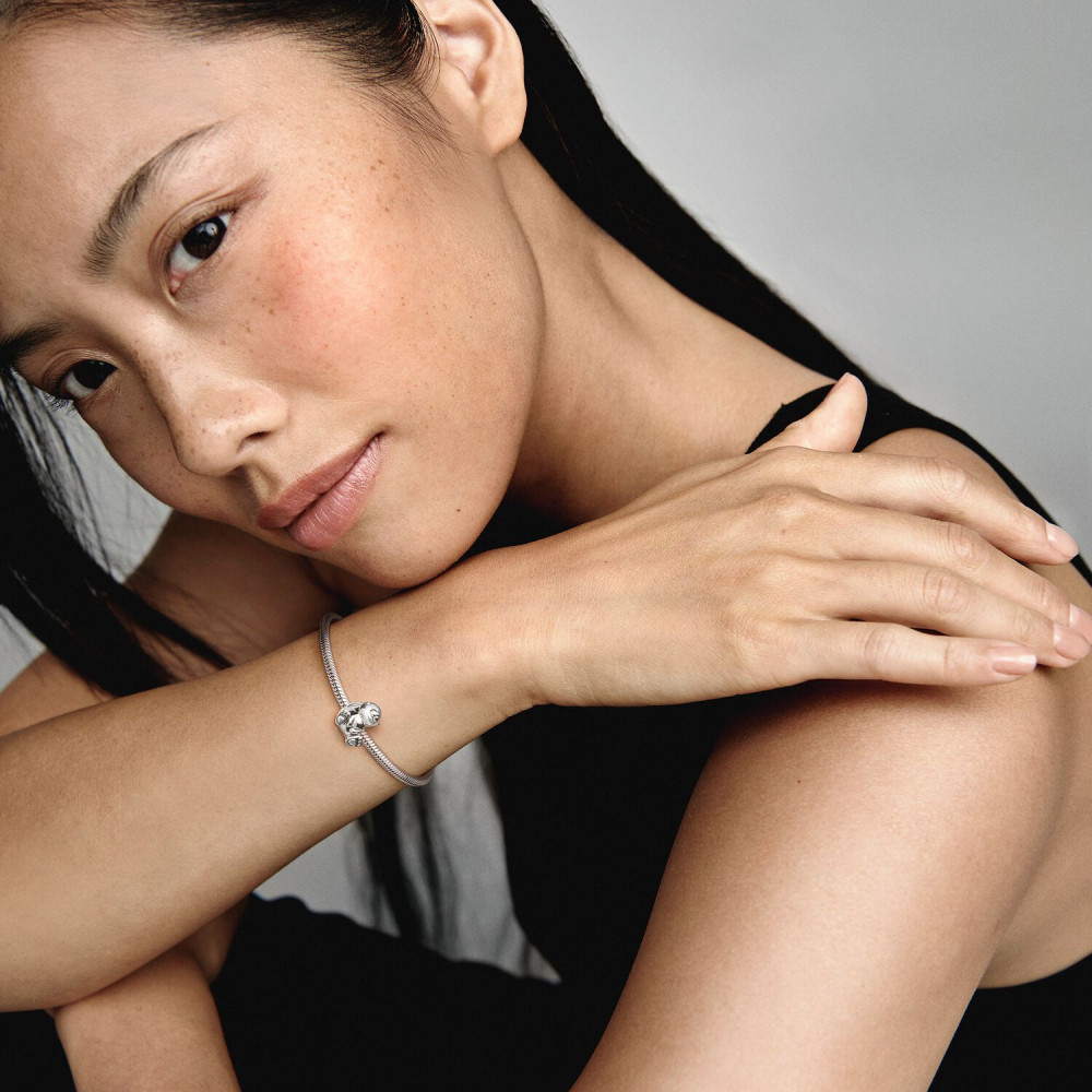 pandora-moments-798763c00-glanzende-zilveren-bedel-met-konijn