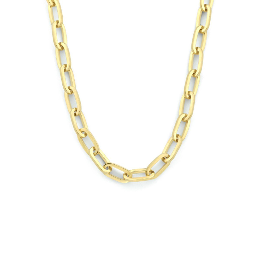 paperclip-5-mm-schakelcollier-goud-huiscollectie-lengte-45-cm