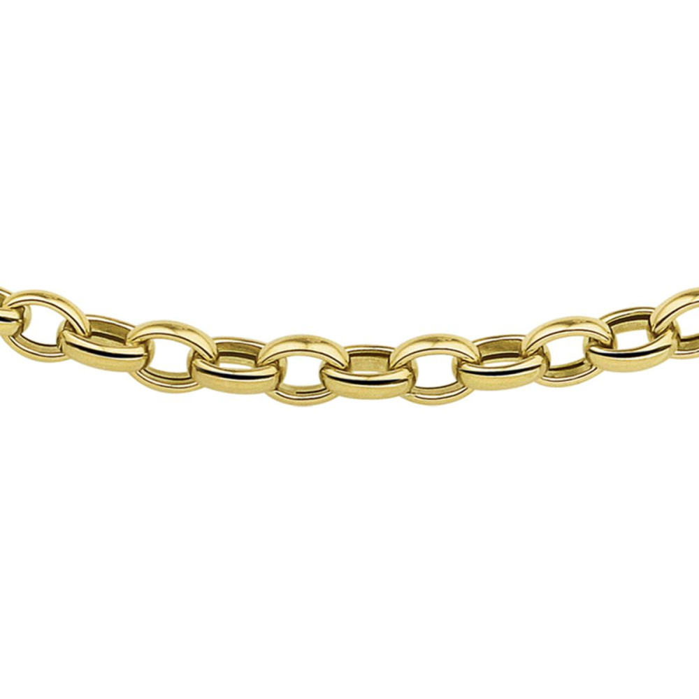 ovaal-jasseron-schakelcollier-zonder-hanger-goud-lengte-45-cm