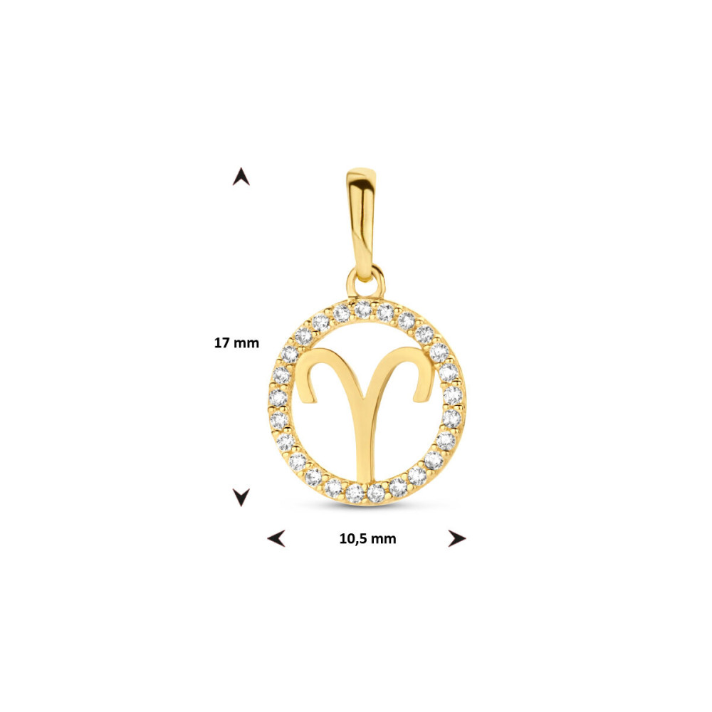 ronde-gouden-sterrenbeeld-hanger-met-zirkonia-rand-10-5-mm-breed-hoogte-17-mm