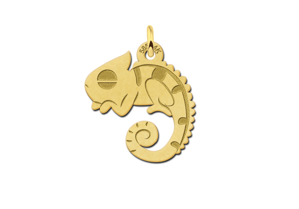 14-karaat-gouden-kameleon-hanger-16-mm-x-15-mm