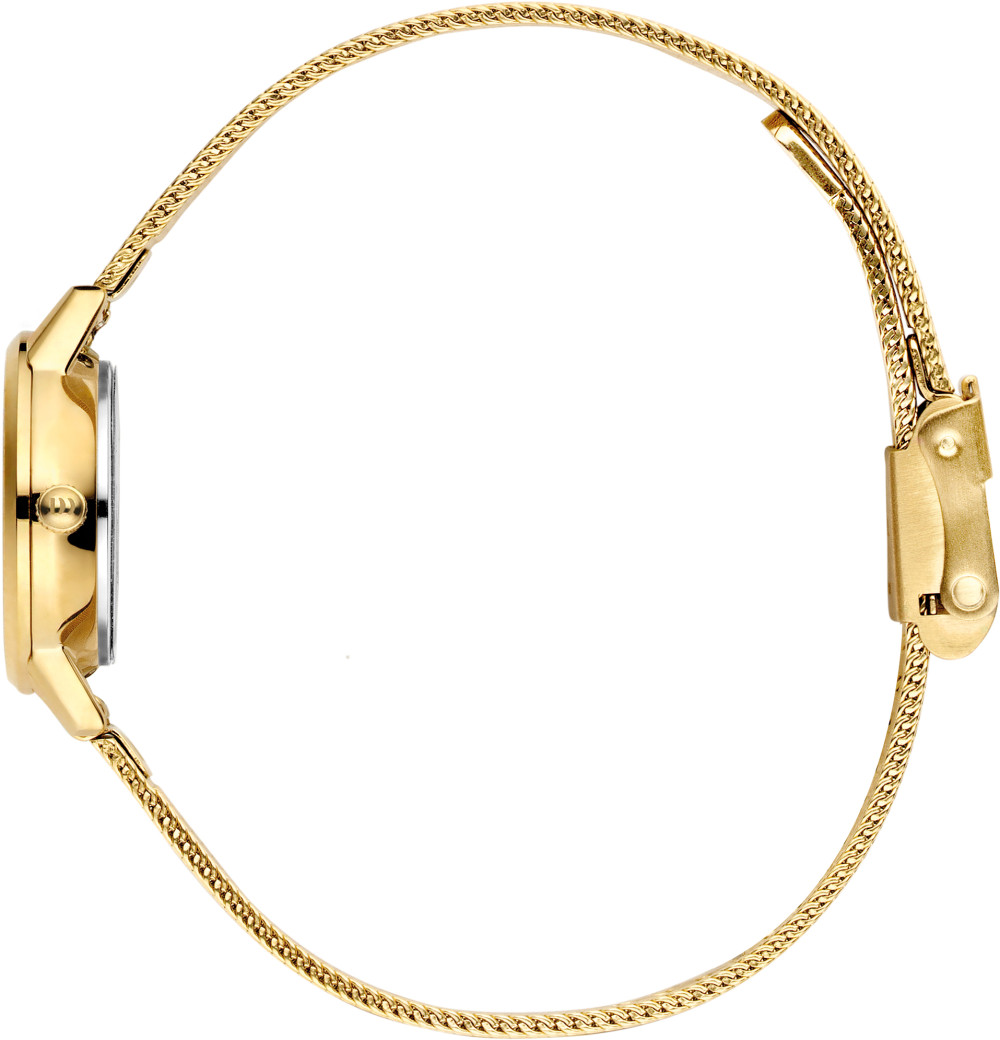 danish-design-husky-akilia-husky-hazel-iv04q1268-dameshorloge-staal-goudkleur-bruin