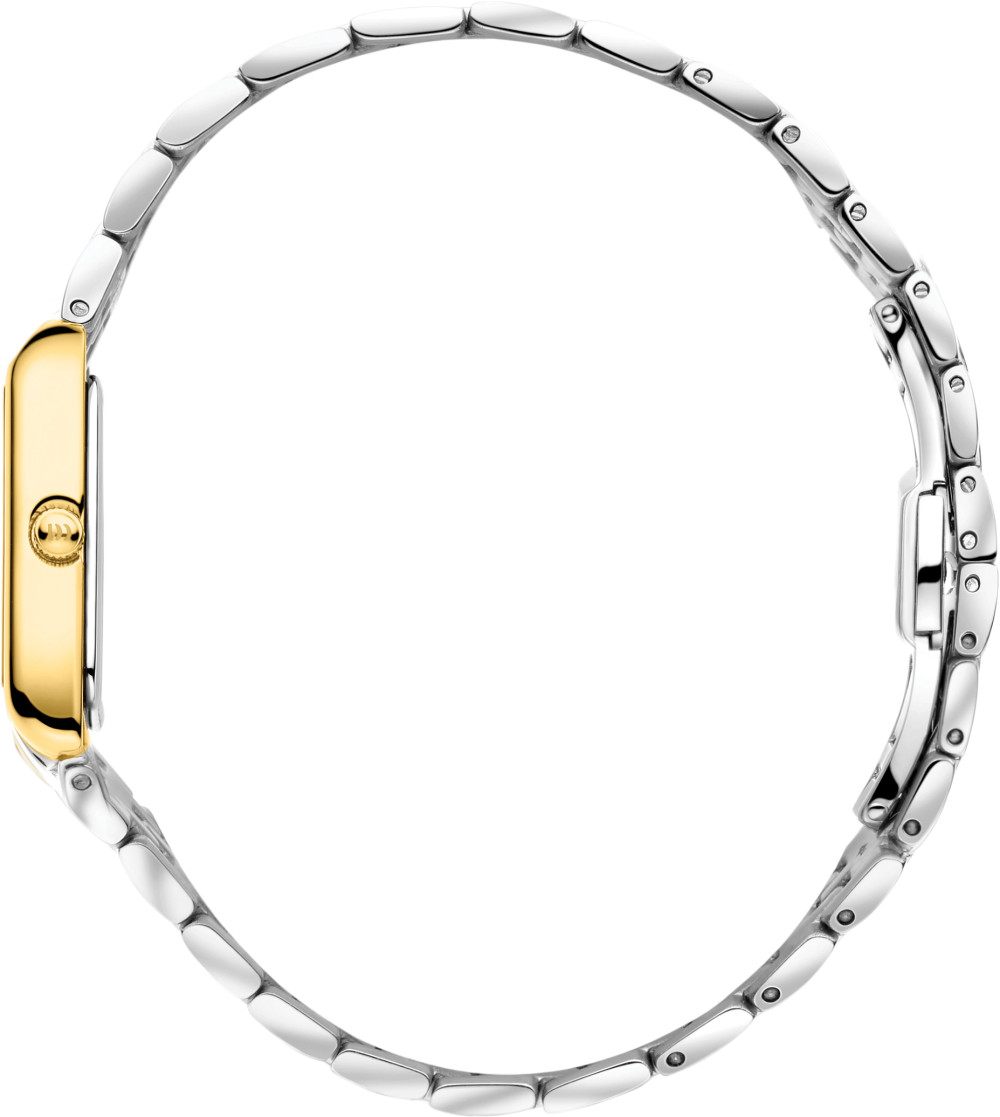danish-design-pure-marie-two-tone-petite-iv65q1299-dameshorloge-bicolor-staal-22-mm