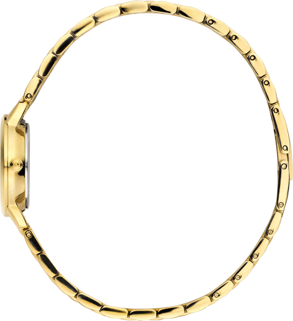 danish-design-tidlos-akilia-iv84q1268-dameshorloge-staal-goudkleurig-bruin-22-mm