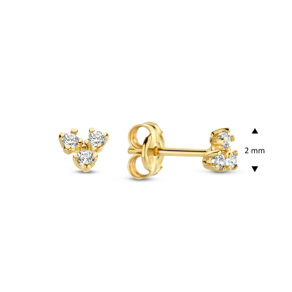 jackie-gold-jke23011-oorstekers-14-karaat-goud-briljante-topaas-2-mm-hoog