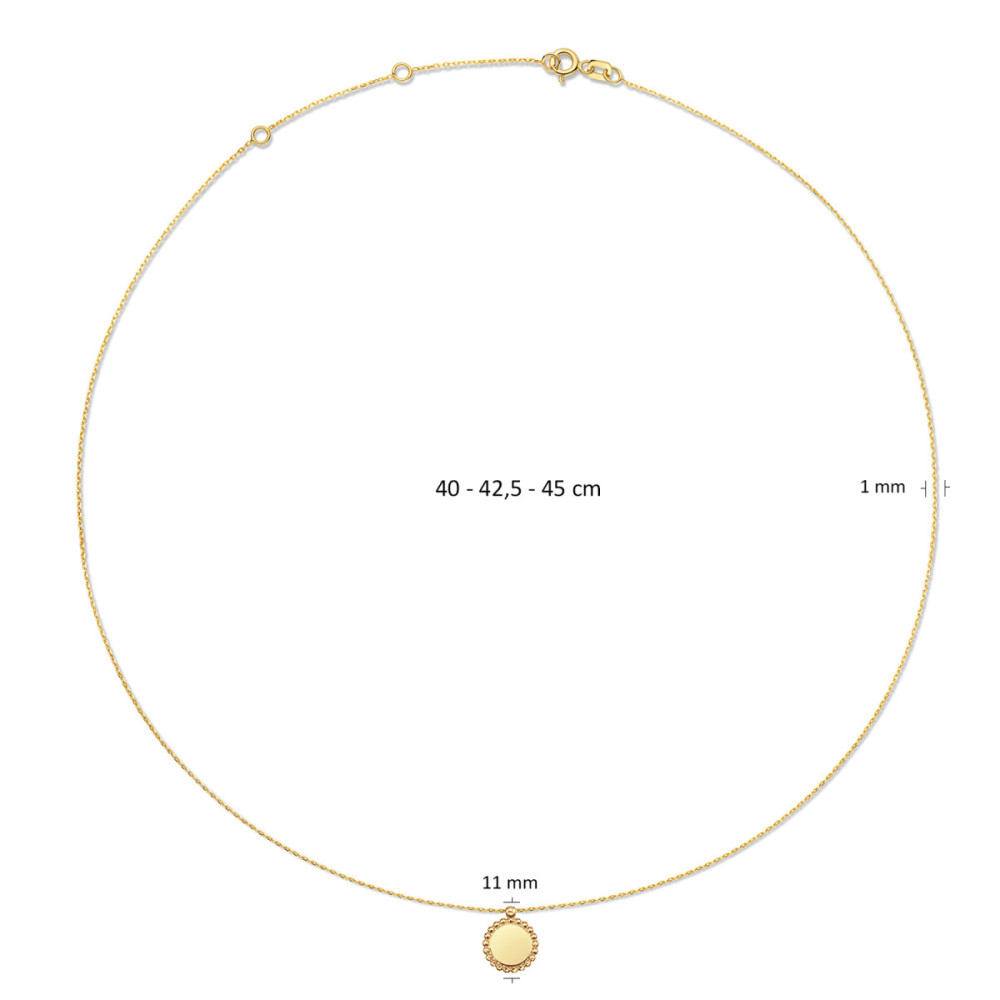 jackie-gold-jkn24-411-collier-van-14-karaat-goud-met-cirkel-hanger-lengte-40-42-5-45-cm