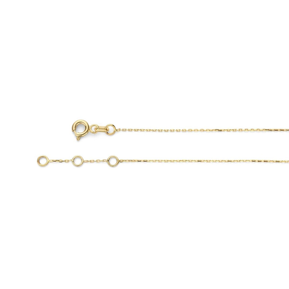 jackie-gold-jkn24-415-rechthoekige-ketting-van-14-karaat-goud-lengte-40-42-5-45-cm