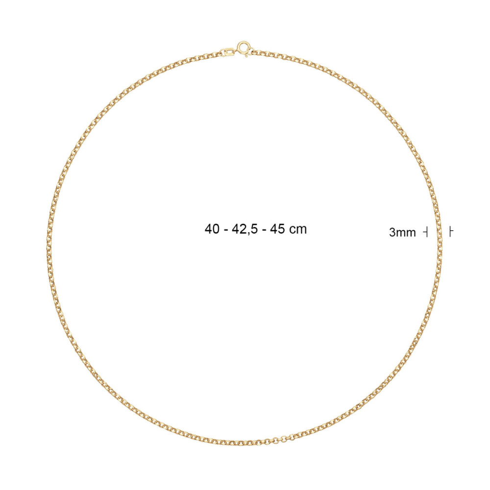 jackie-gold-jkn25-504-14-karaat-gouden-ketting-met-jasseron-schakels-3-mm-lengte-40-42-45-cm
