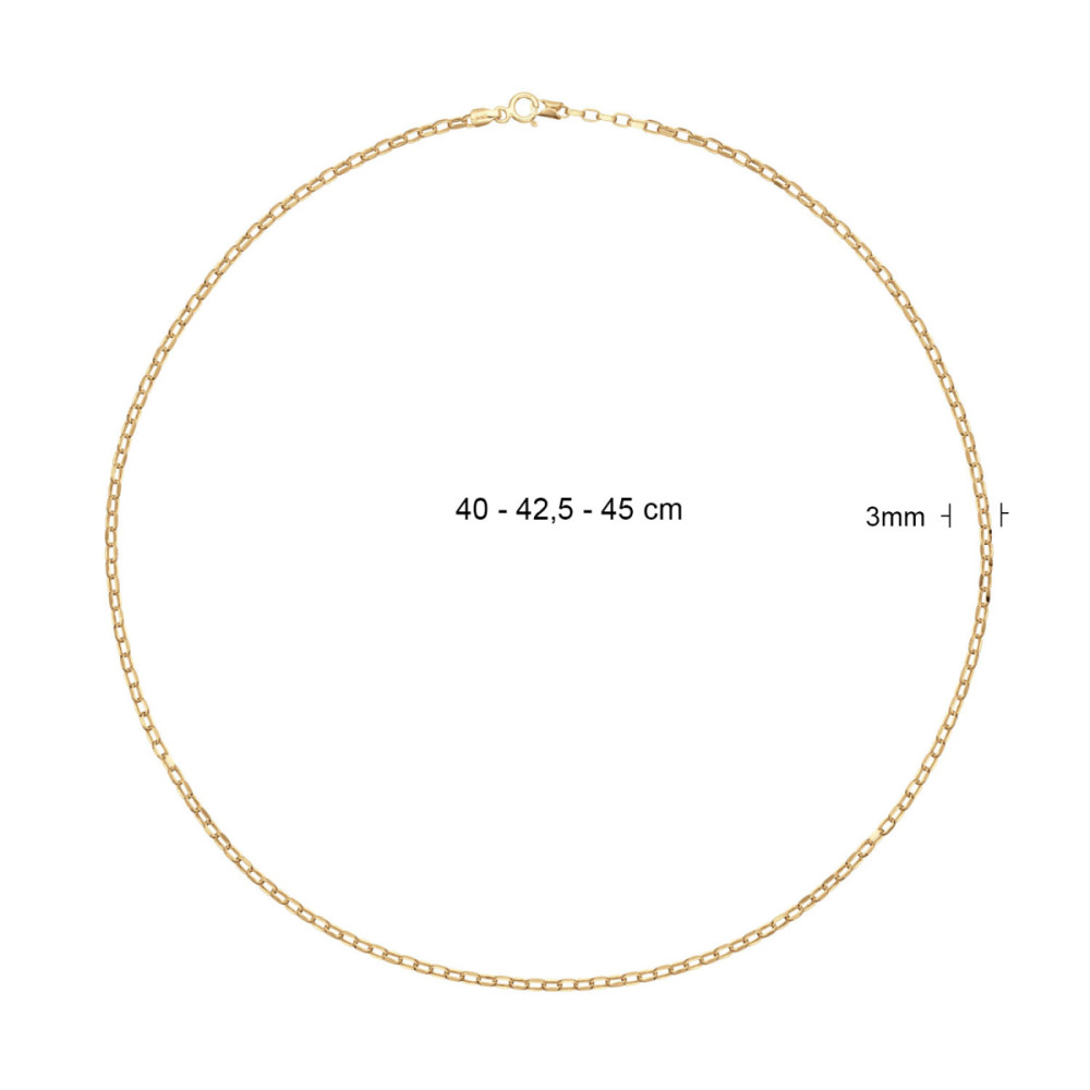 jackie-gold-jkn25-505-14-karaat-gouden-ketting-met-anker-schakels-3-mm-lengte-40-42-5-45-cm