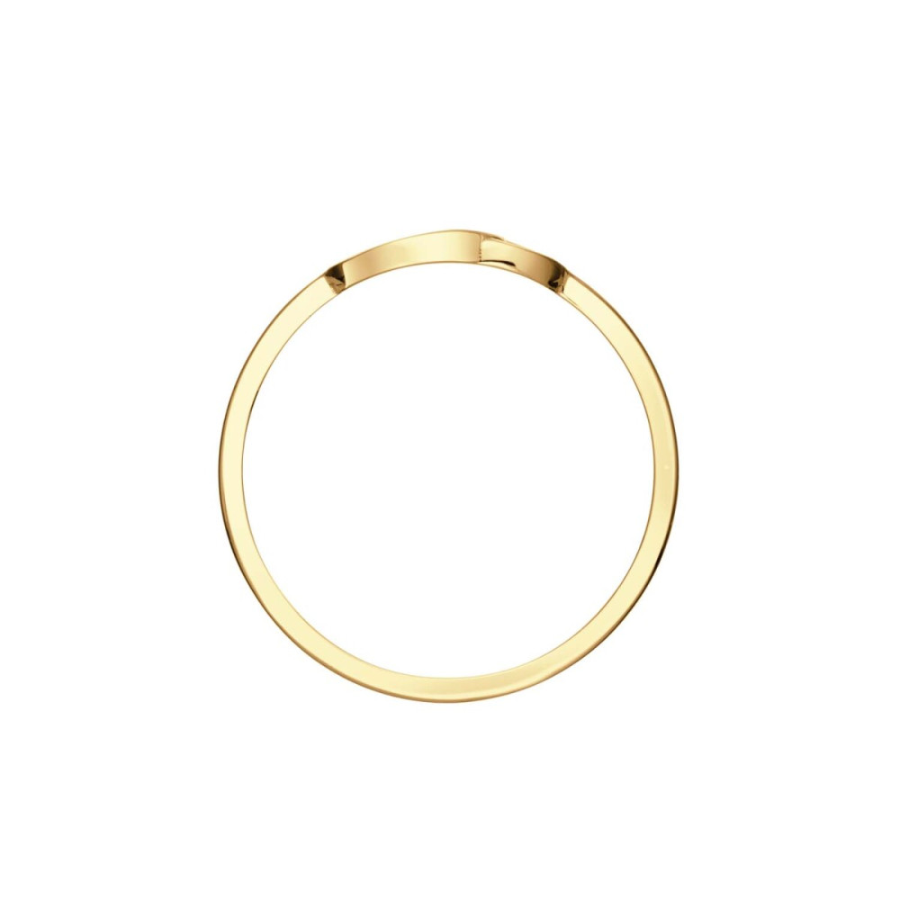 jackie-gold-jkr24-408-ring-met-2-rondjes-van-14-karaat-goud