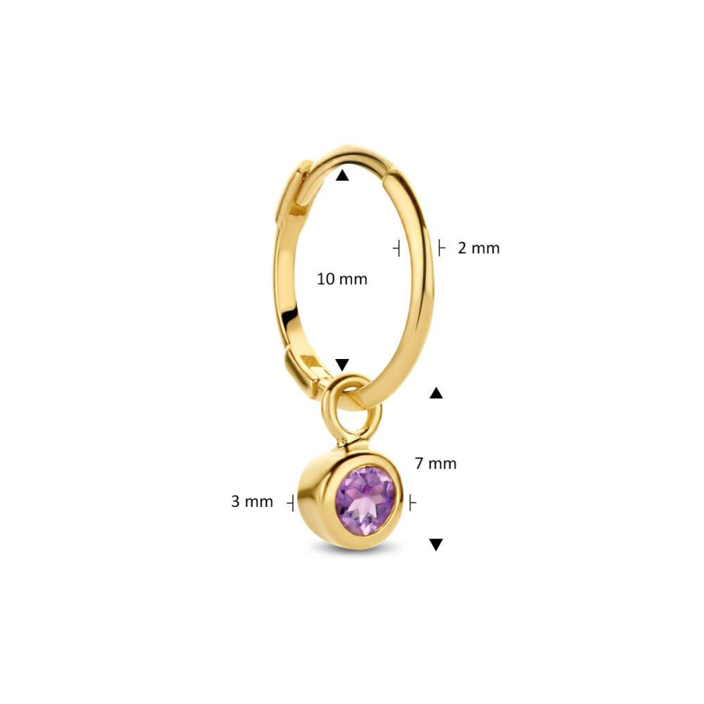 jackie-gold-jks21006-paarse-oorring-met-amethist-hanger-en-14-karaaat-goud-per-stuk