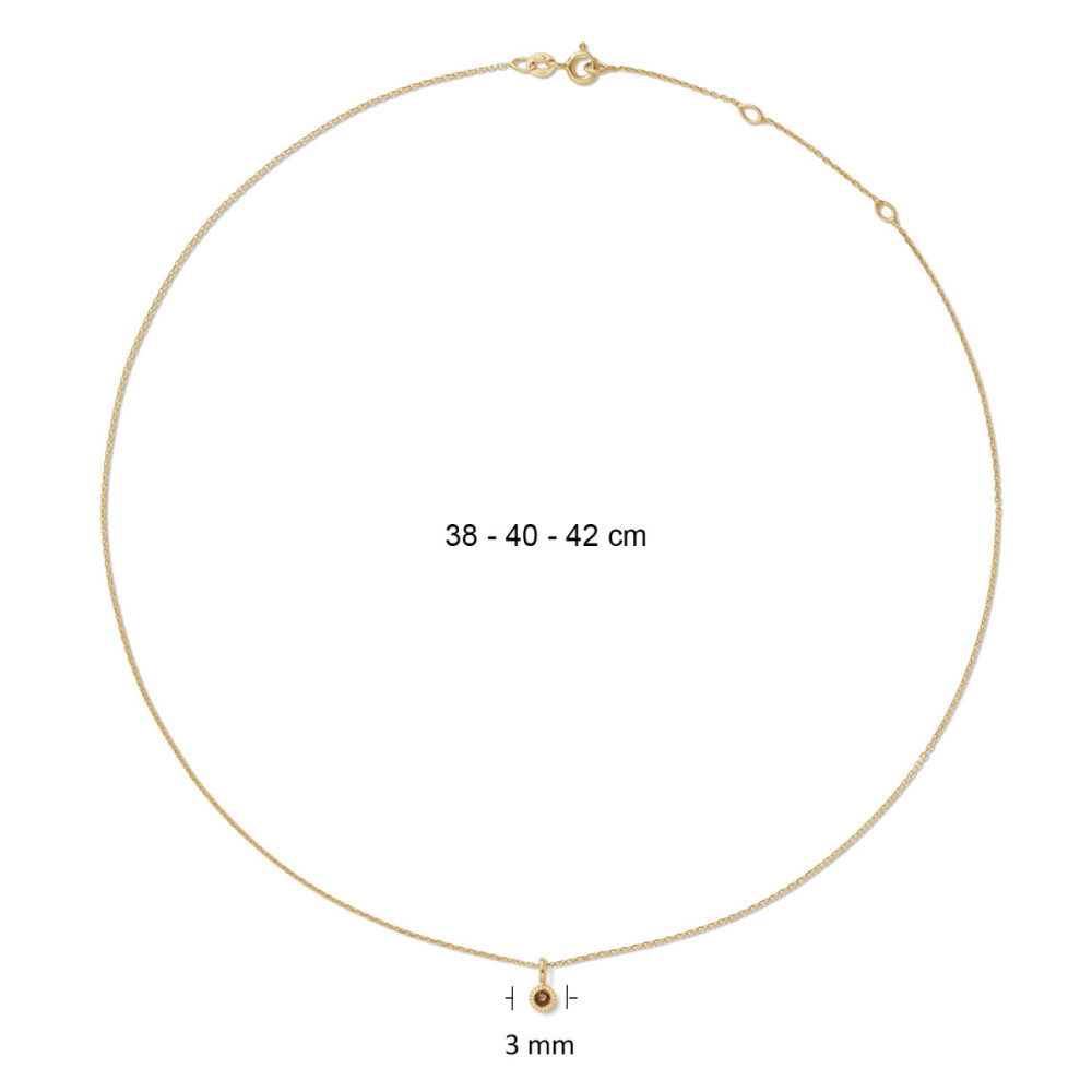 jackie-gold-kirstenbosch-jkn26-613-bruine-ketting-rookkwarts-goud-14-karaat-lengte-38-40-42-cm