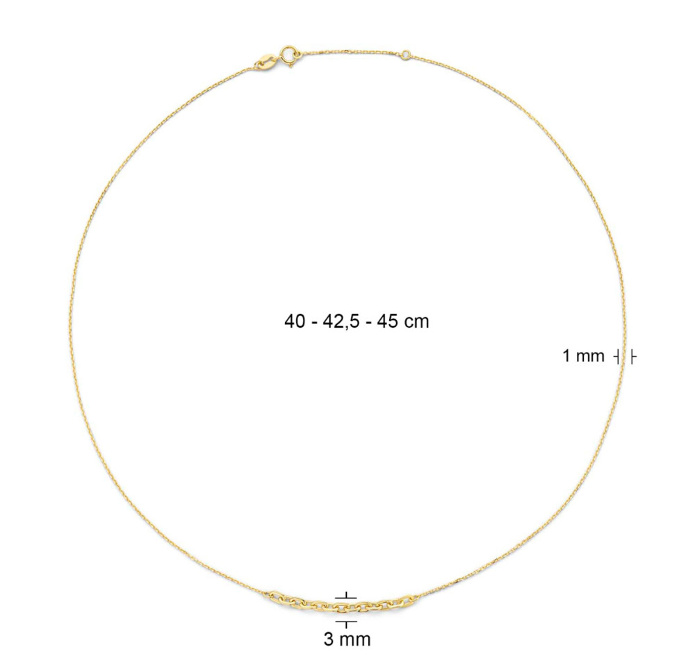 jackie-gold-positano-jkn22203-ketting-ankerschakel-geelgoud-14-karaat-lengte-40-45-cm