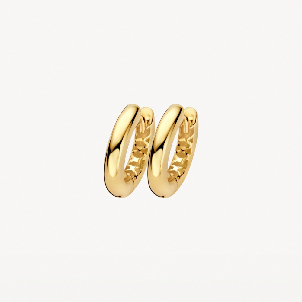 blush-lg7021y-oorringen-14-karaat-goud-2-8-mm-breed-14-5-mm-diameter