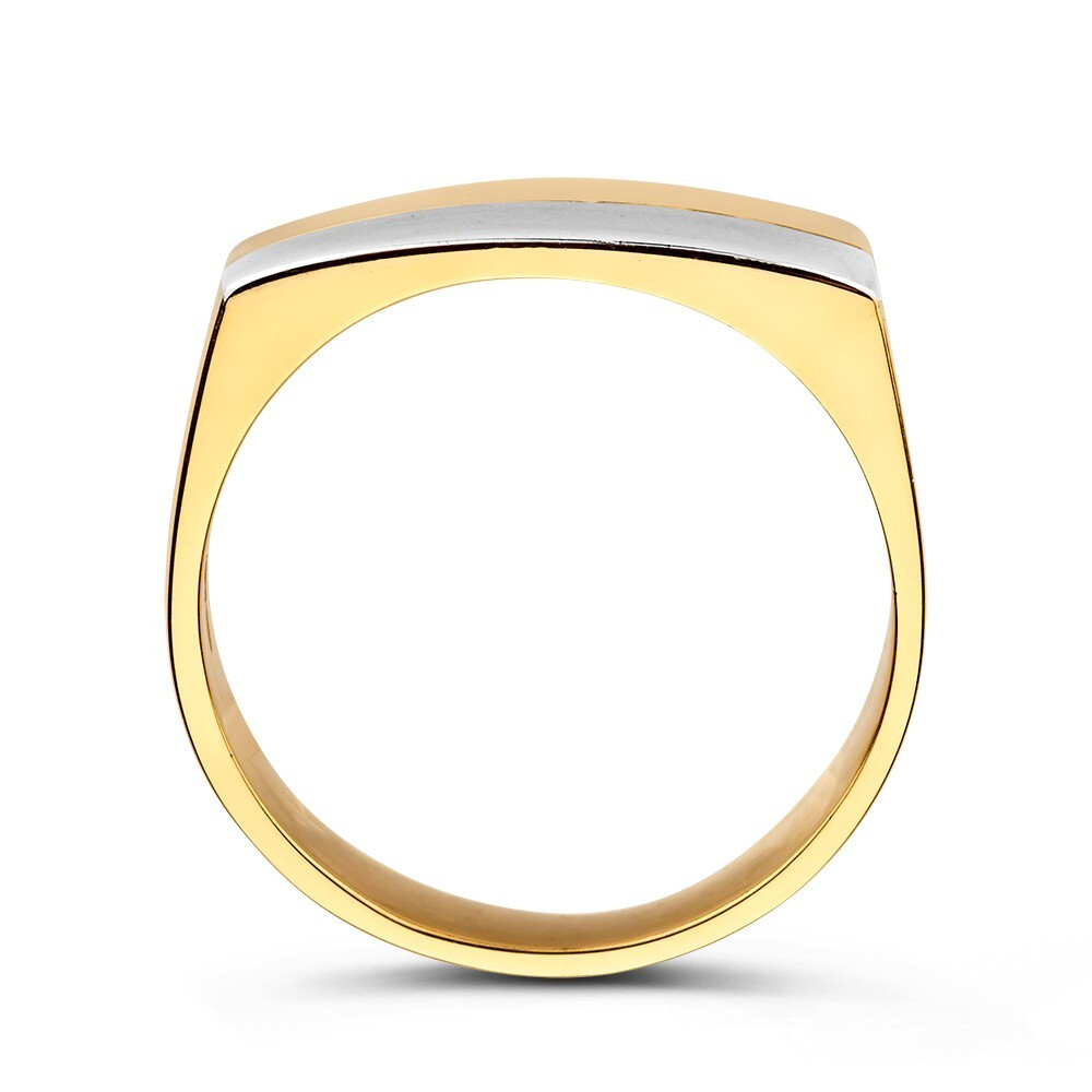 14-karaat-bicolor-zegelring-voor-heren-met-10-mm-brede-rechthoek