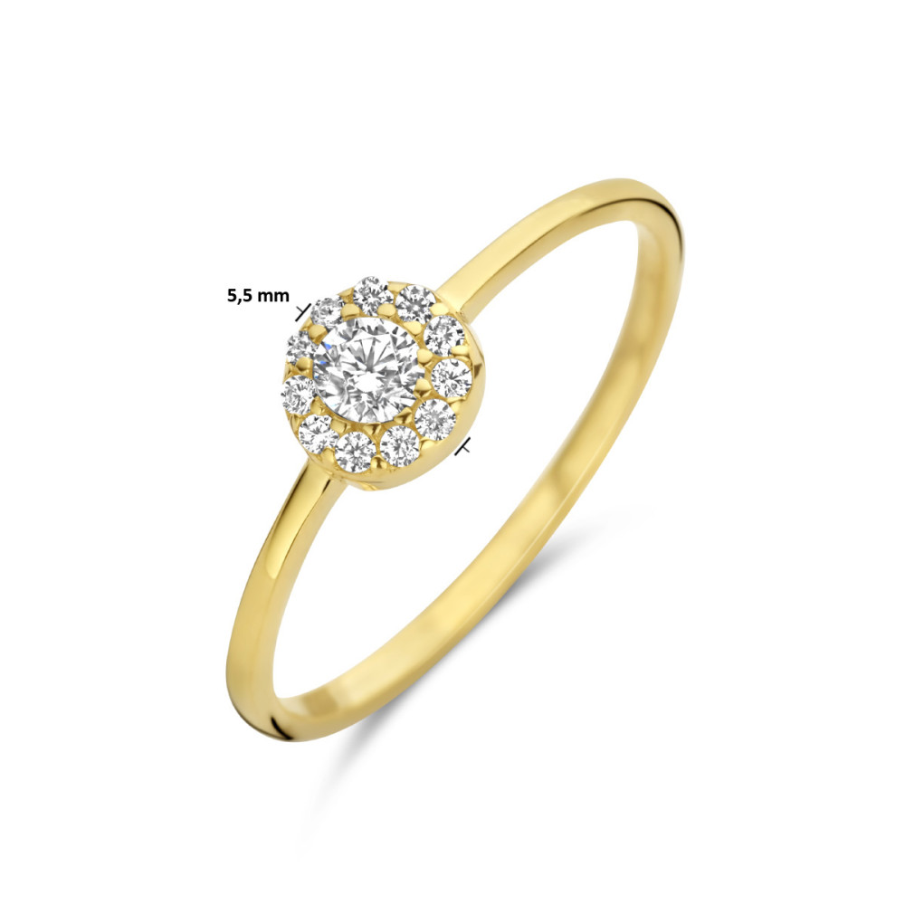 14-karaat-geelgouden-entourage-ring-met-zirkonia-s