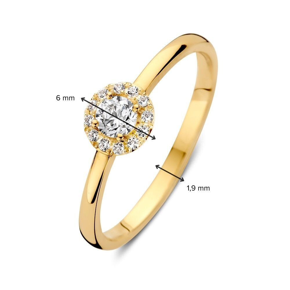 14-karaat-gouden-entourage-ring-met-briljante-transparante-zirkonia-en-6-mm-breed