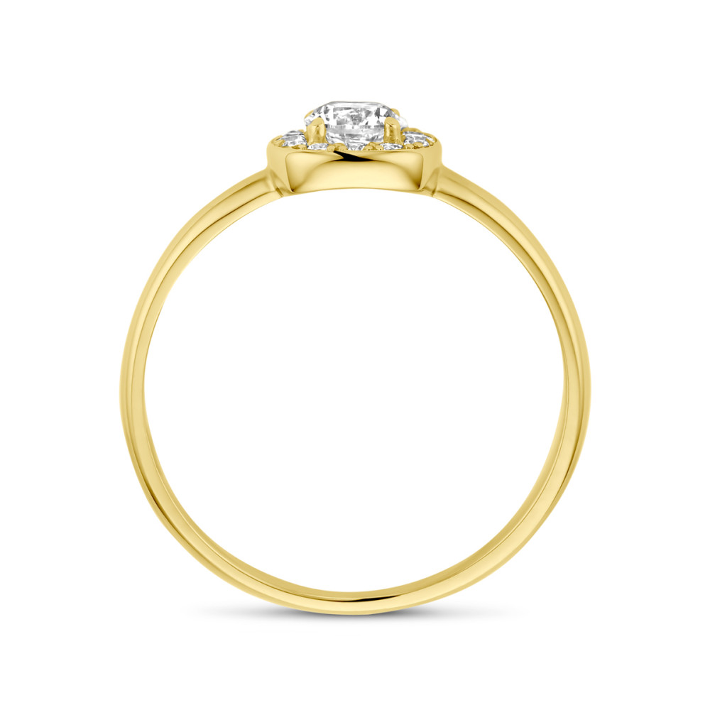 14-karaat-gouden-halo-ring-met-zirkonia-s