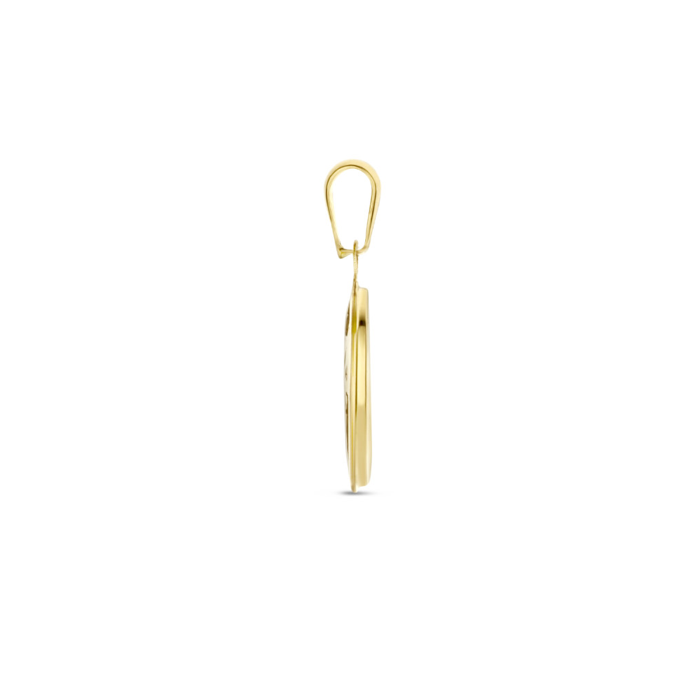 14-karaat-gouden-hanger-met-wereldbol-en-parelmoer-12-5-mm-breed-hoogte-20-mm