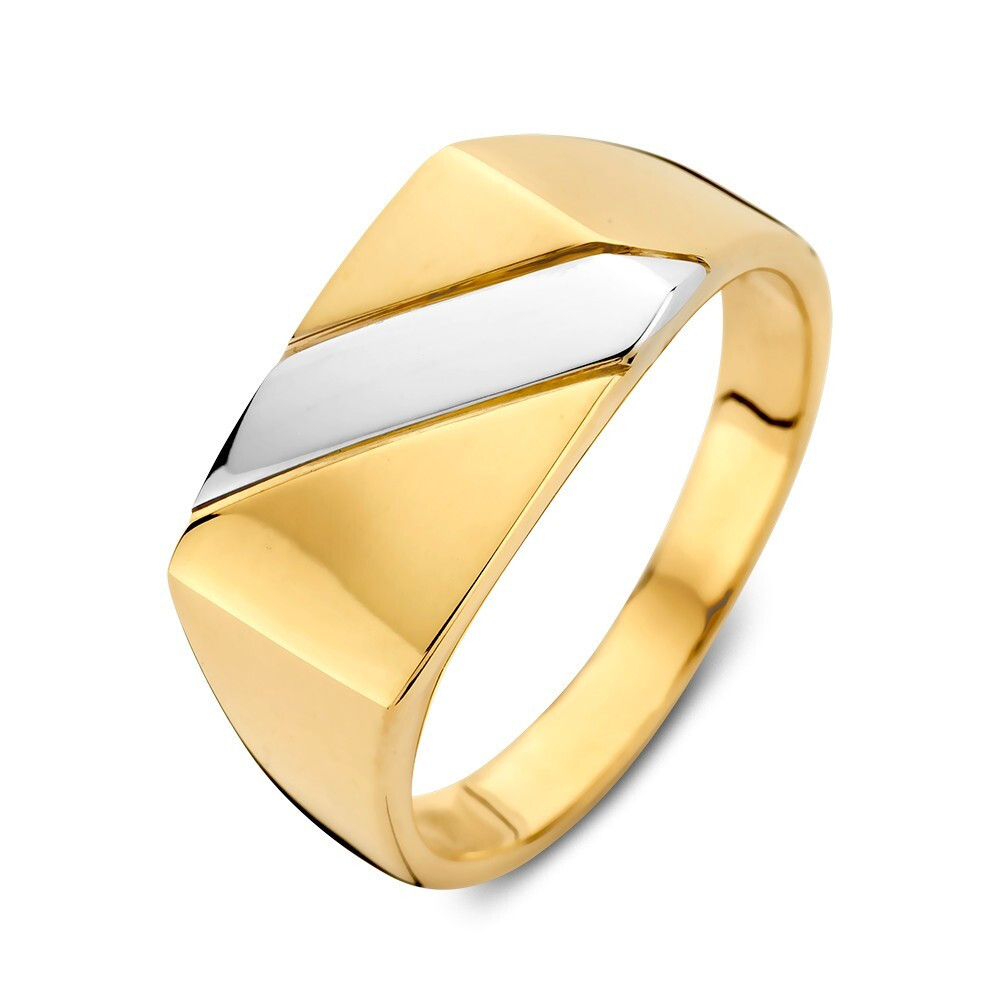 14-karaat-gouden-heren-ring-met-diagonale-witgouden-baan-10-mm-breed