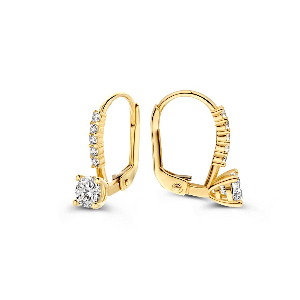 14-karaat-gouden-oorstekers-met-transparante-zirkonia-s-hoogte-14-mm