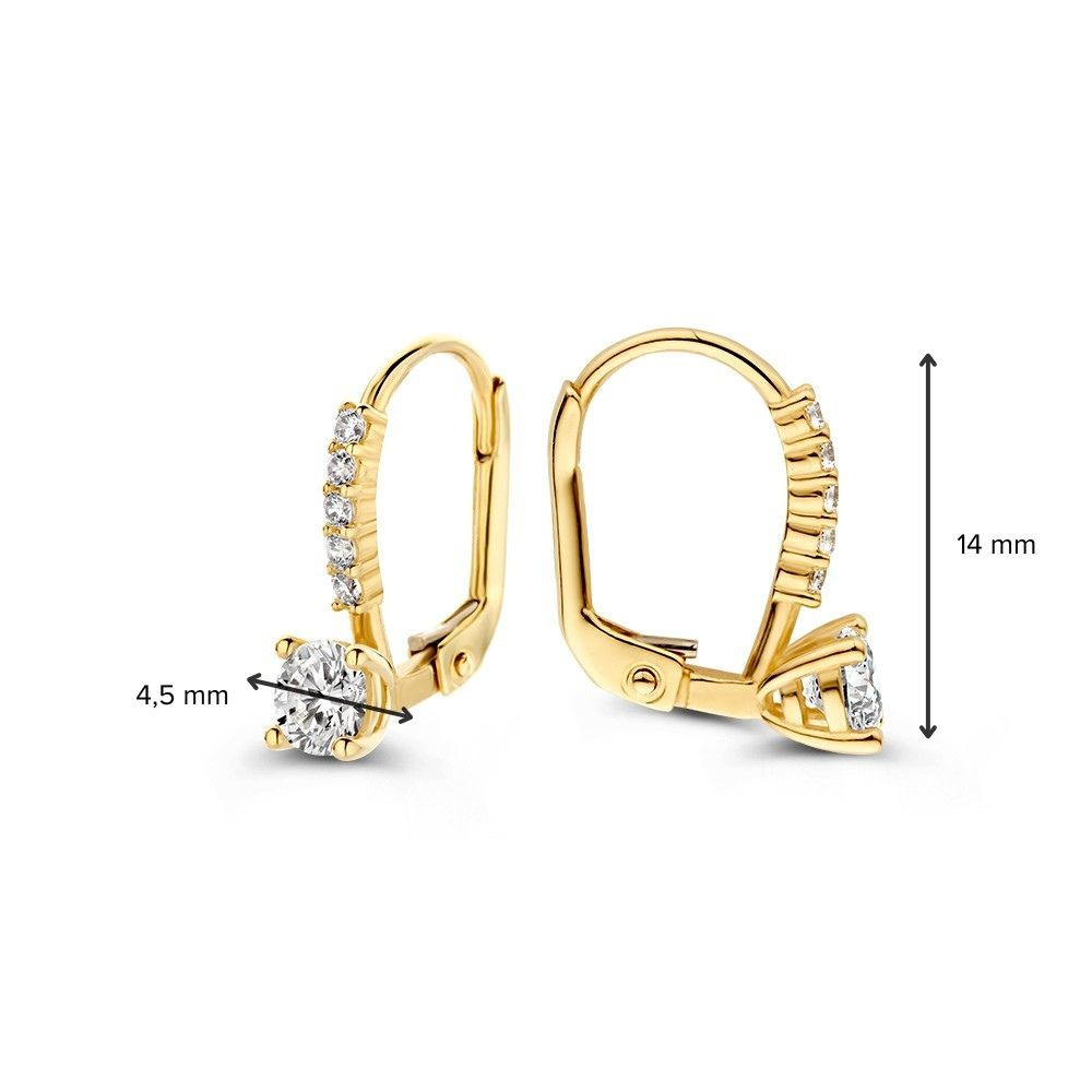 14-karaat-gouden-oorstekers-met-transparante-zirkonia-s-hoogte-14-mm