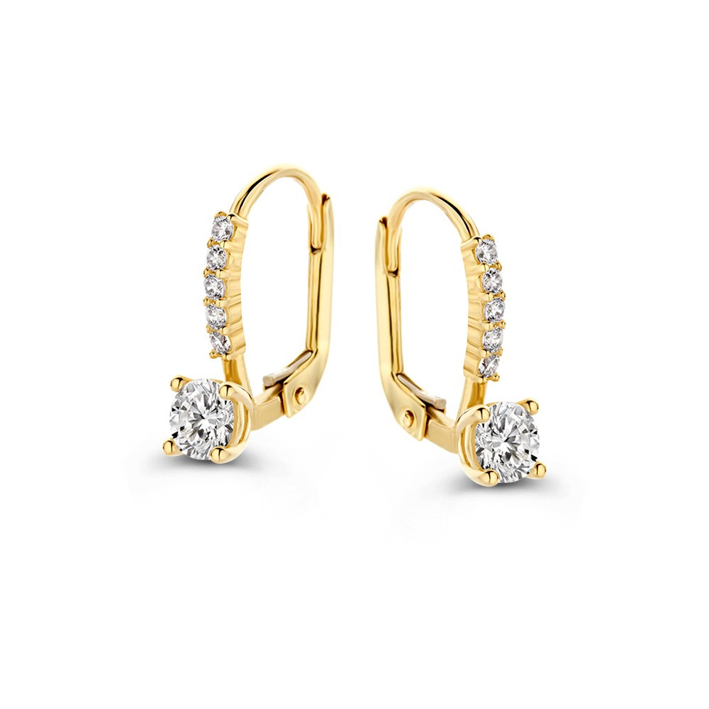 14-karaat-gouden-oorstekers-met-transparante-zirkonia-s-hoogte-14-mm