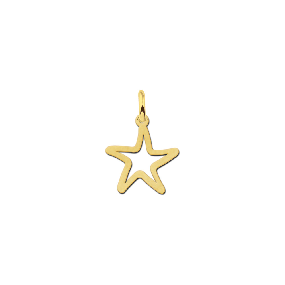 14-karaat-gouden-opengewerkte-ster-hanger-diameter-14-mm