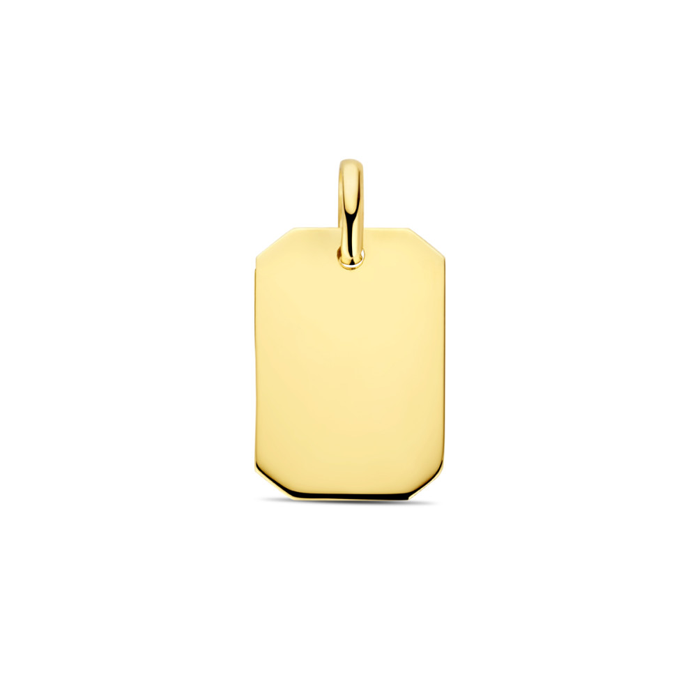 14-karaat-gouden-rechthoekige-graveerhanger-11-mm-breed-hoogte-20-mm