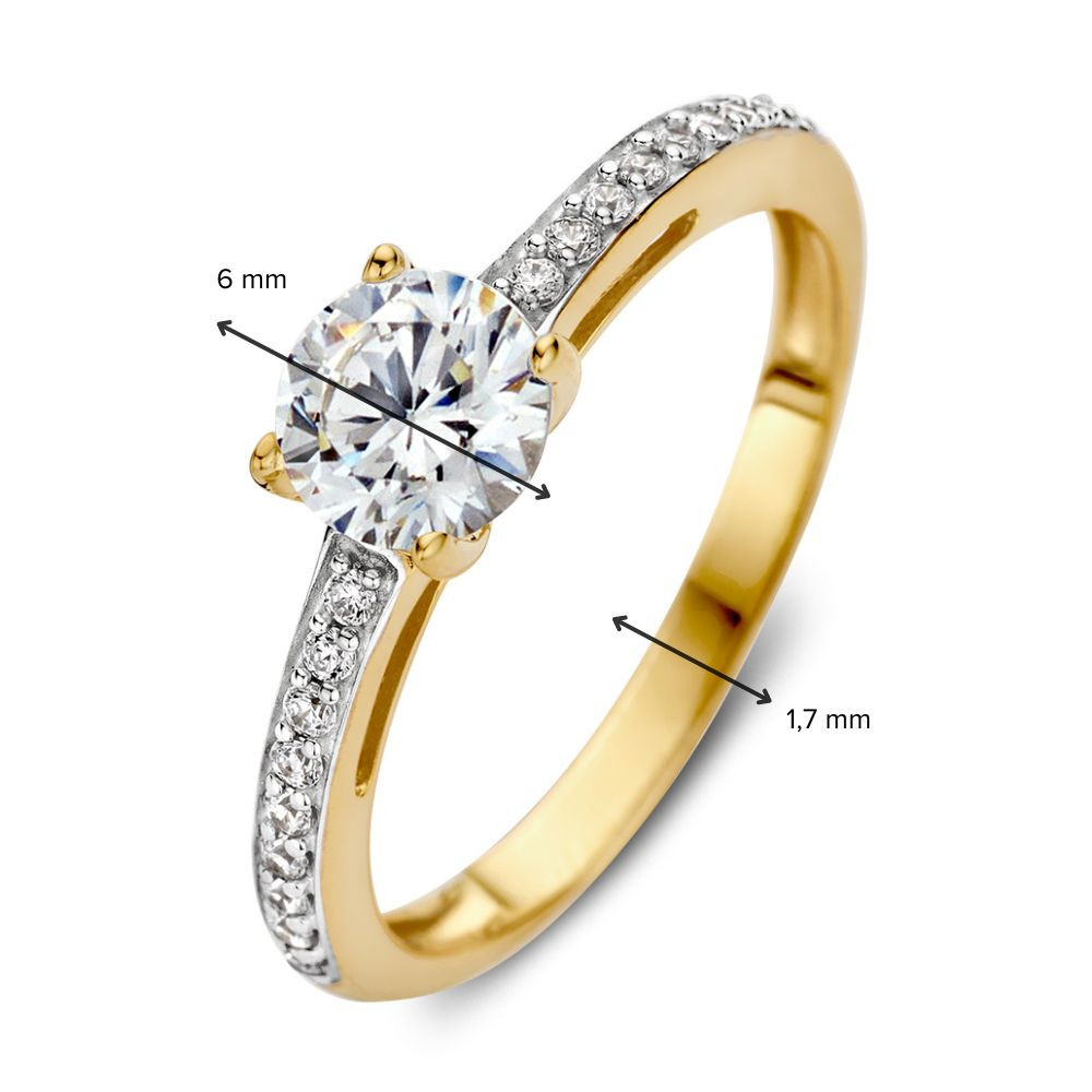 14-karaat-gouden-ring-met-zirkonias-in-witgouden-zetting