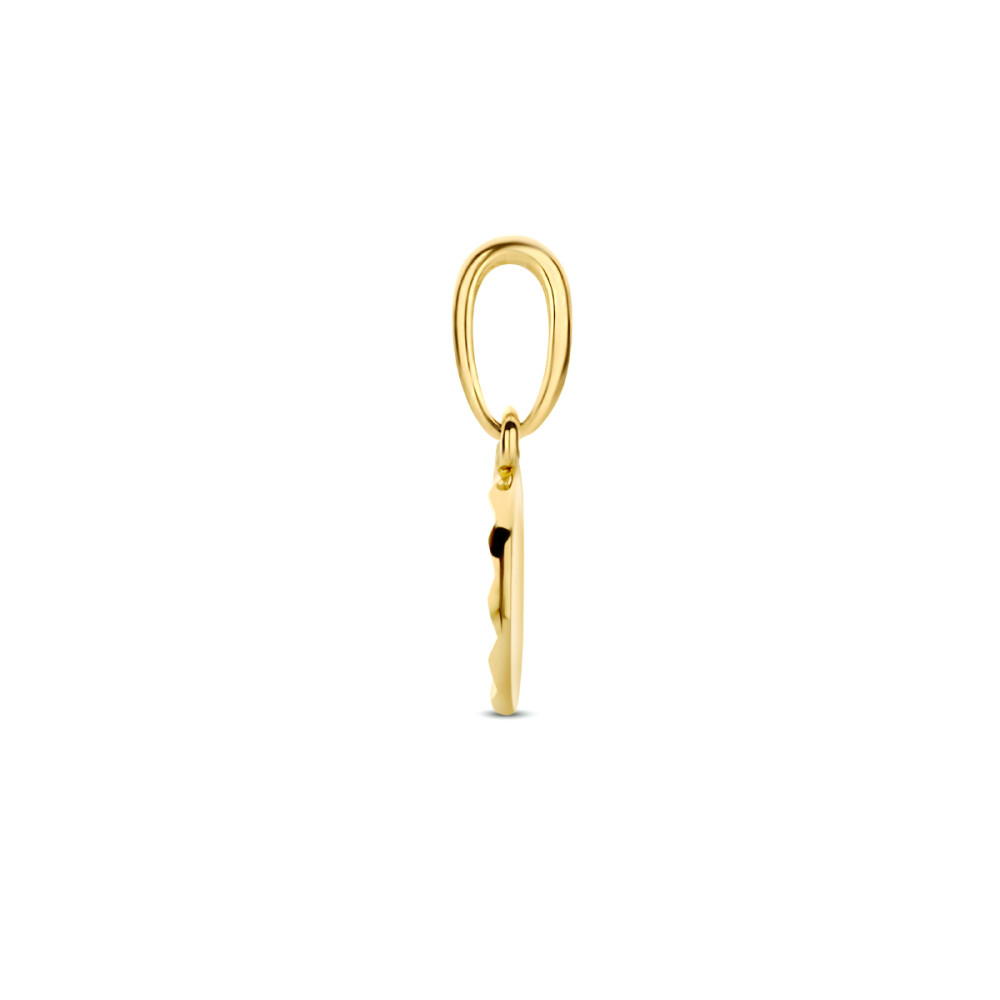 14-karaat-gouden-ronde-hanger-met-gestreept-patroon-diameter-6-5-mm