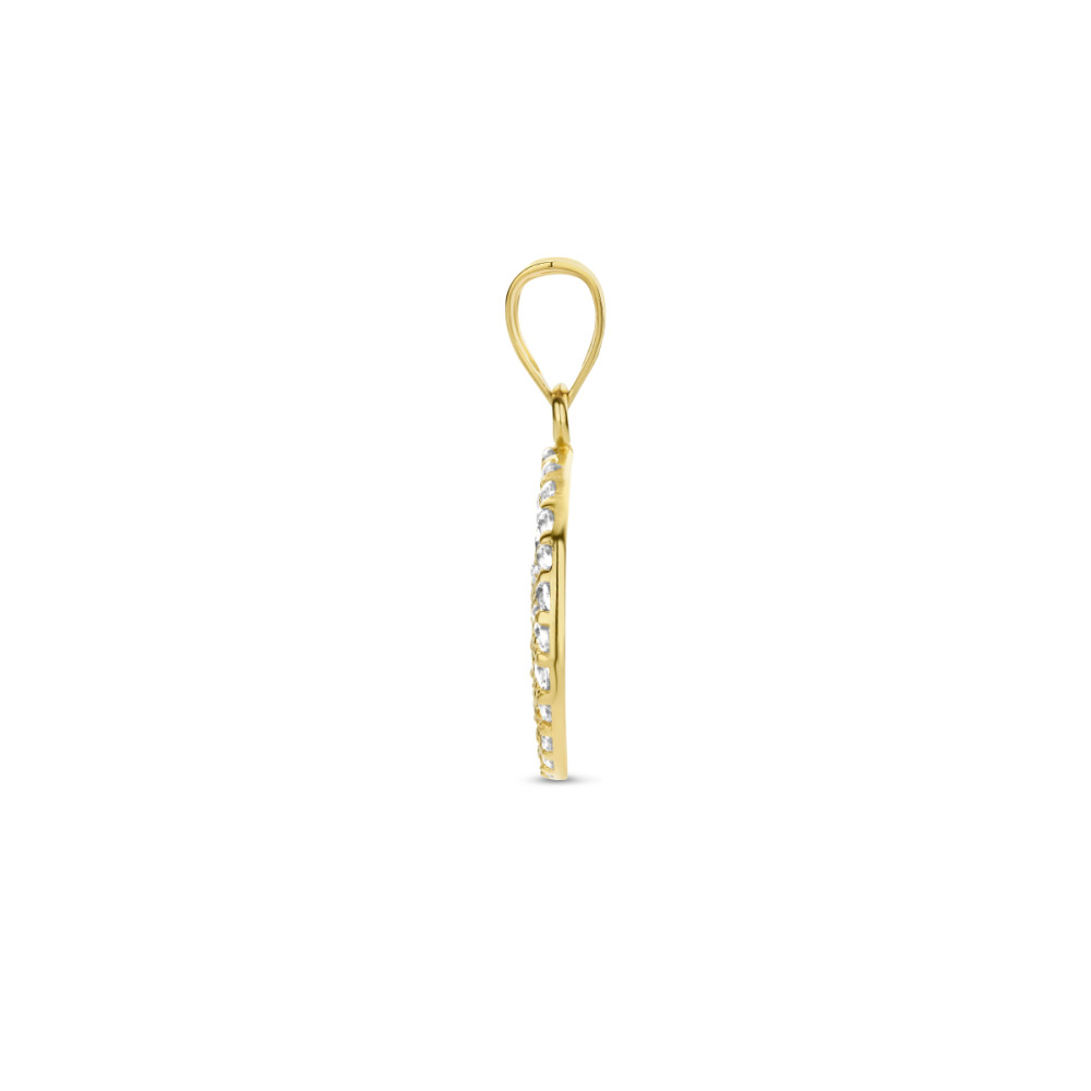 14-karaat-gouden-ronde-hanger-volledig-bezet-met-zirkonia-s-12-5-mm-breed-hoogte-20-mm