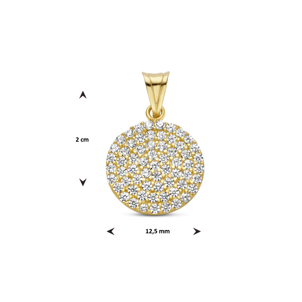 14-karaat-gouden-ronde-hanger-volledig-bezet-met-zirkonia-s-12-5-mm-breed-hoogte-20-mm