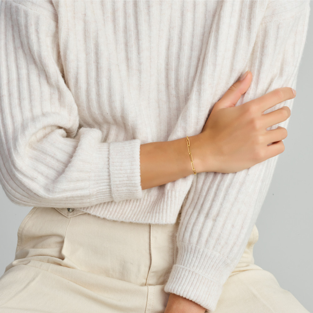 14-karaat-gouden-schakelarmband-met-paperclip-en-jasseron-schakels