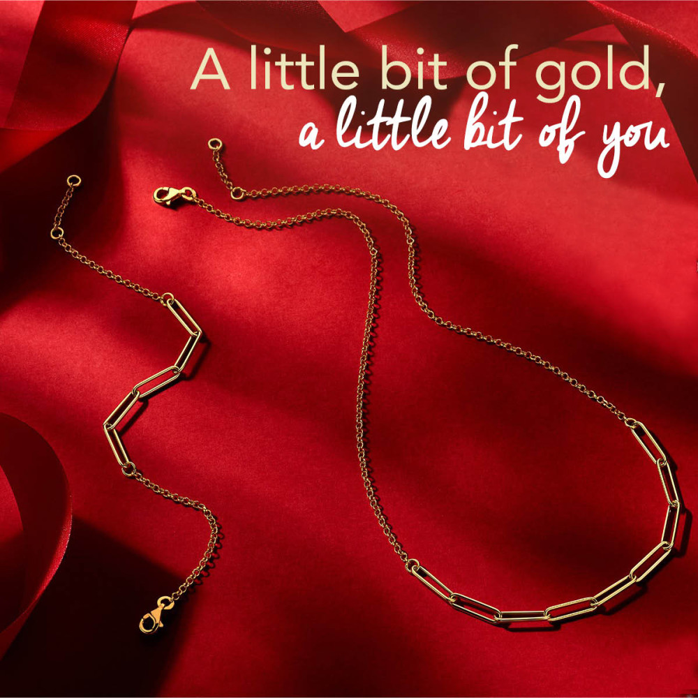 14-karaat-gouden-schakelarmband-met-paperclip-en-jasseron-schakels