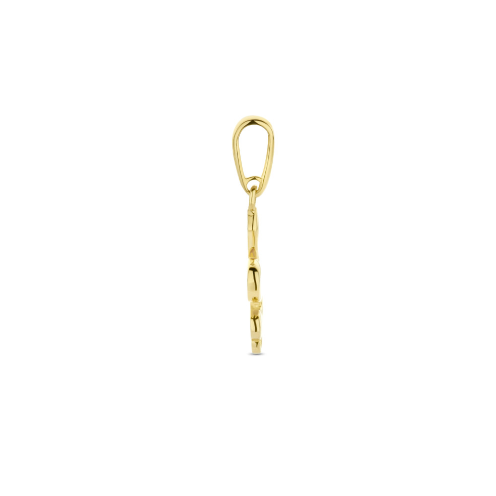 14-karaat-gouden-slang-hanger-6-mm-breed-hoogte-17-mm