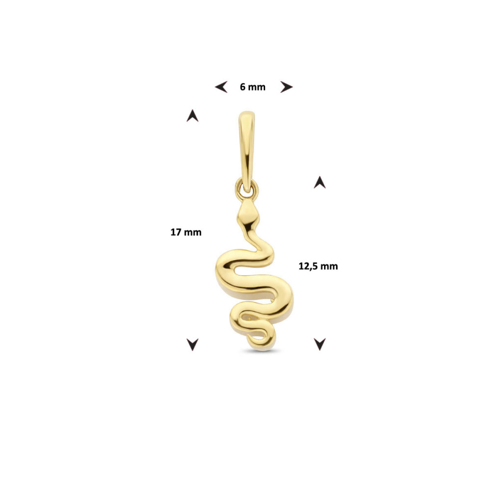 14-karaat-gouden-slang-hanger-6-mm-breed-hoogte-17-mm