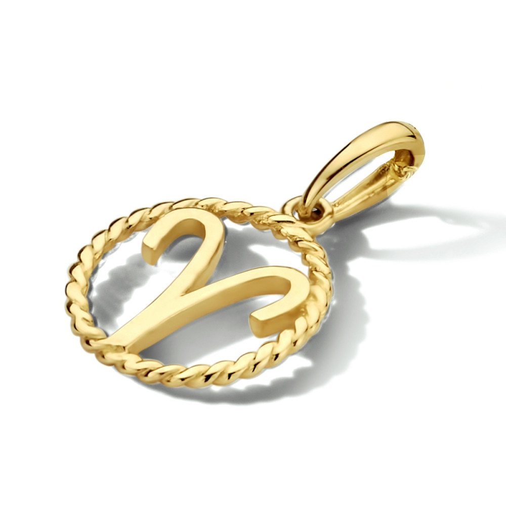 14-karaat-gouden-sterrenbeeld-hanger-met-gevlochten-rand-diameter-10-5-mm
