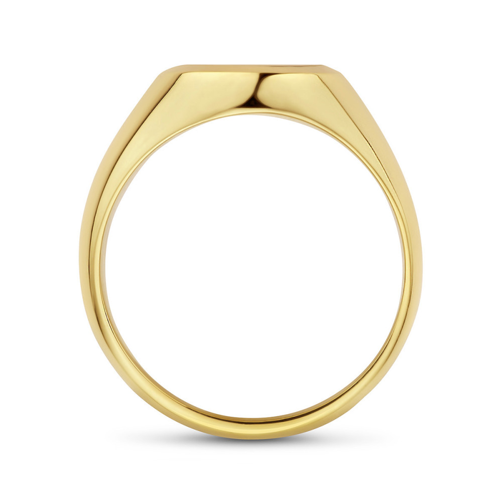 14-karaat-gouden-zegelring-met-ovale-carneool-steen