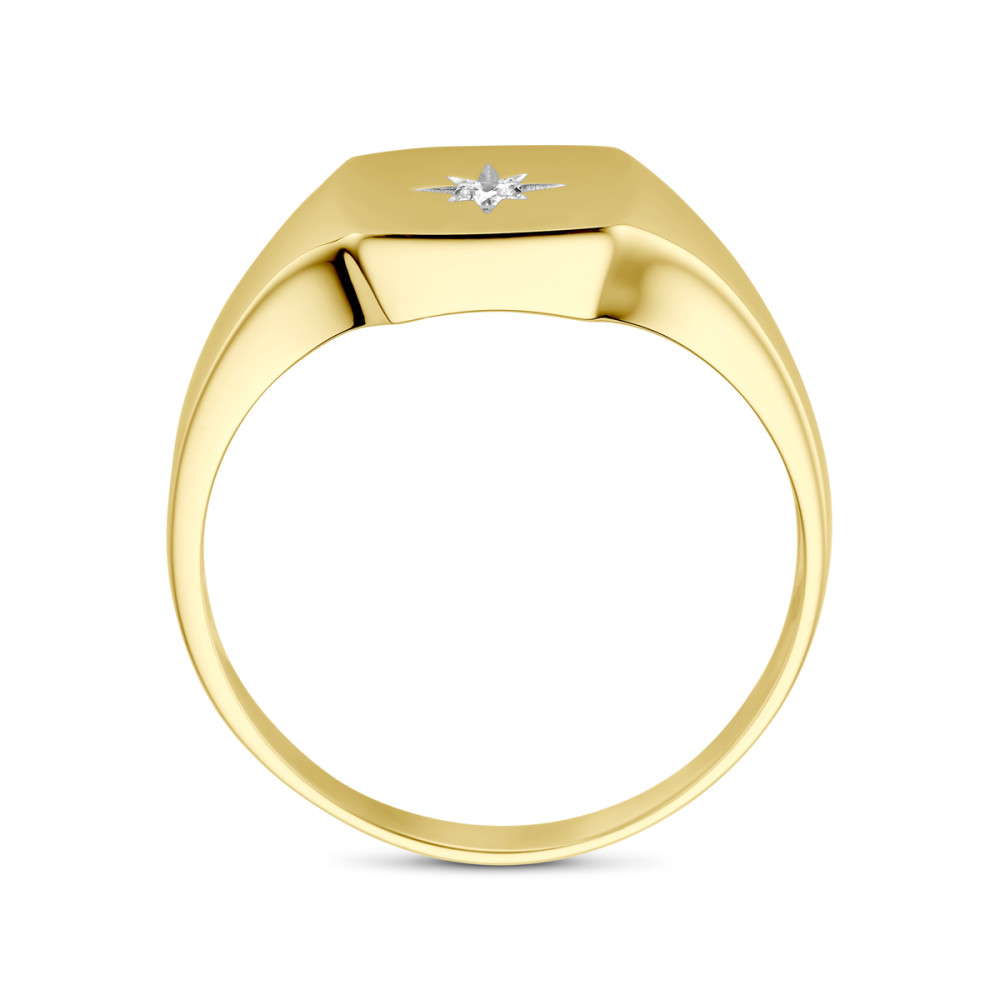 14-karaat-gouden-zegelring-met-ster-diamant