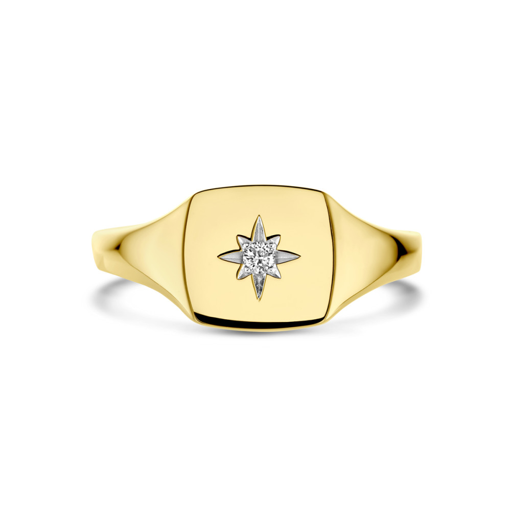 14-karaat-gouden-zegelring-met-ster-diamant