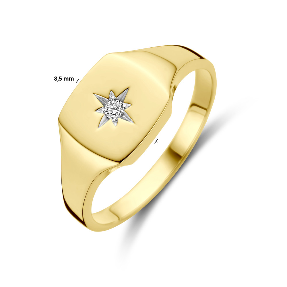 14-karaat-gouden-zegelring-met-ster-diamant
