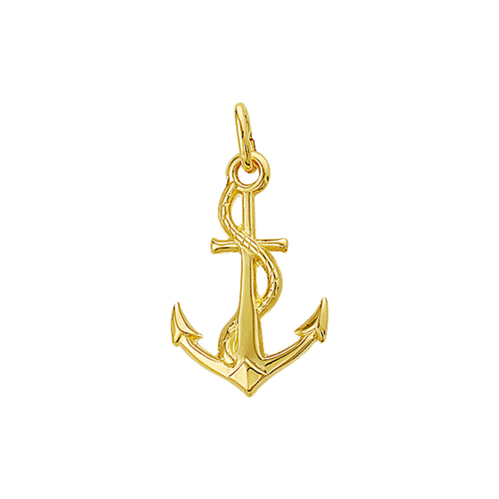 anker-hanger-14-karaat-glanzend-goud-omwikkeld-touw-14-5-mm-breed-x-22-5-mm-hoog