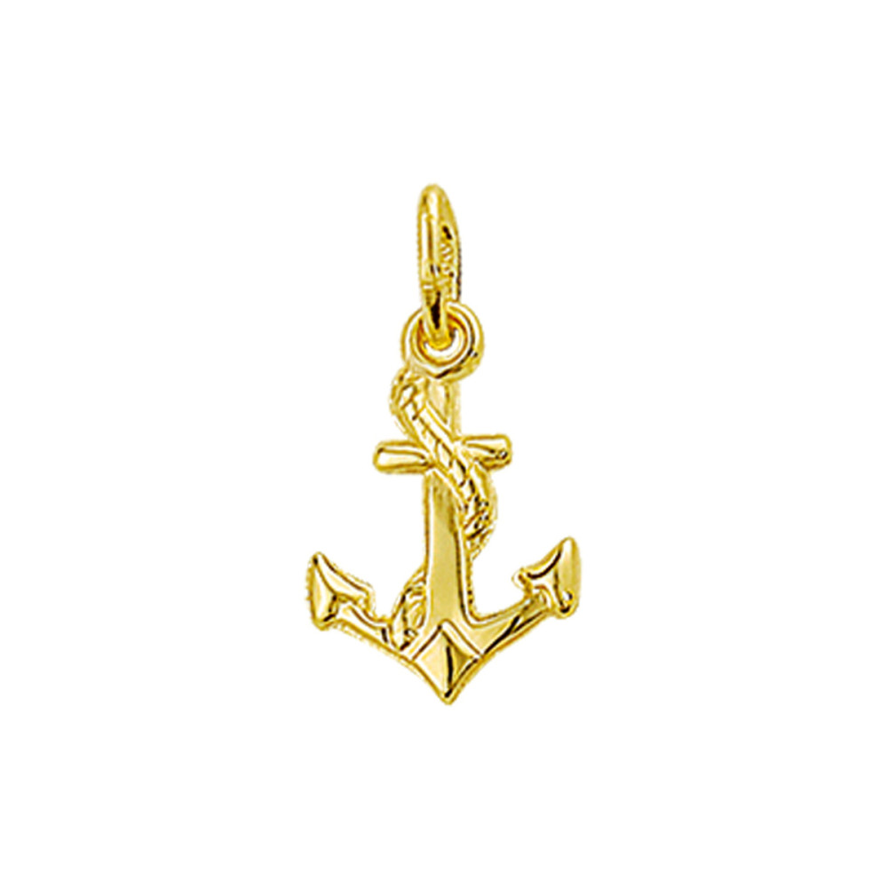 anker-hanger-met-touw-14-karaat-glanzend-goud-9-mm-breed-x-13-5-mm-hoog