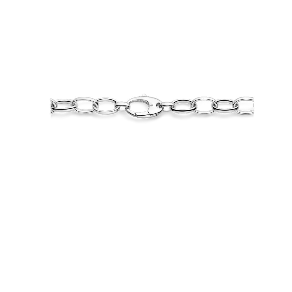 ankerschakel-11-5-mm-schakelketting-zilver-lengte-50-cm