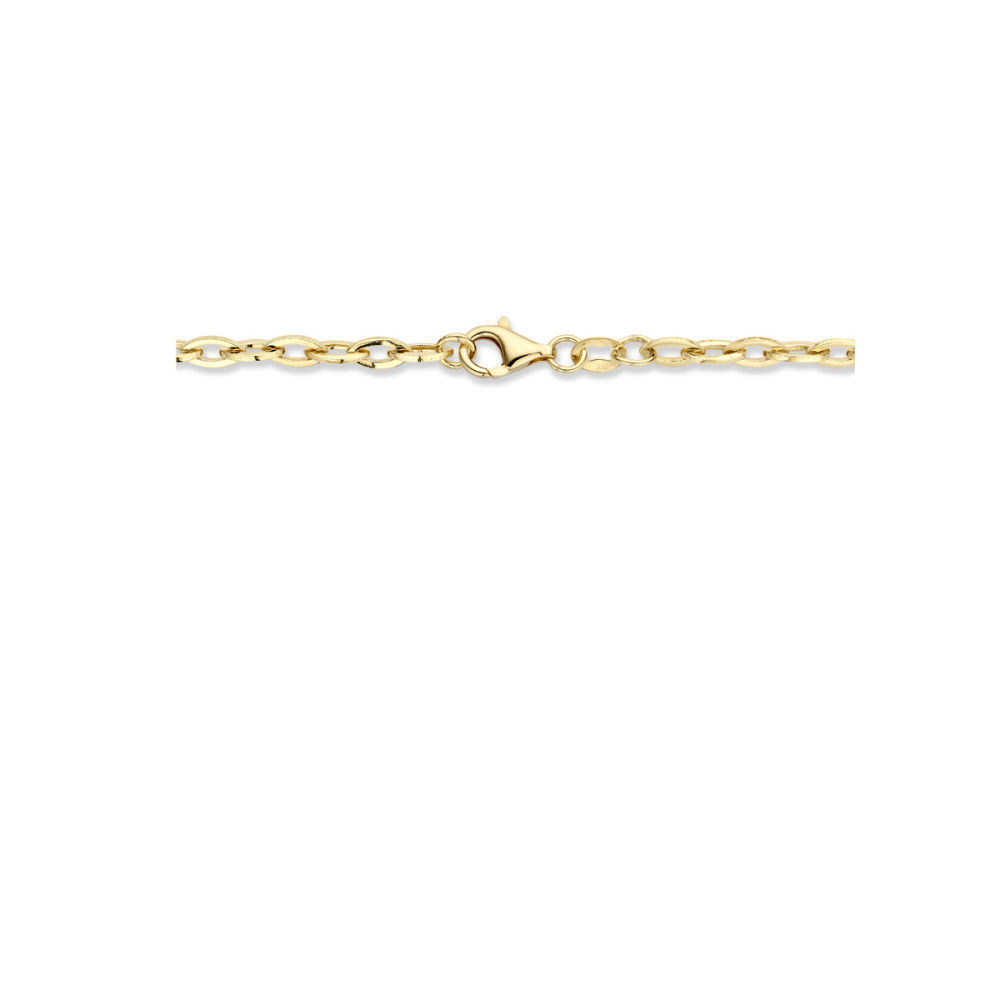 ankerschakel-4-mm-schakelcollier-gold-plated-lengte-45-cm