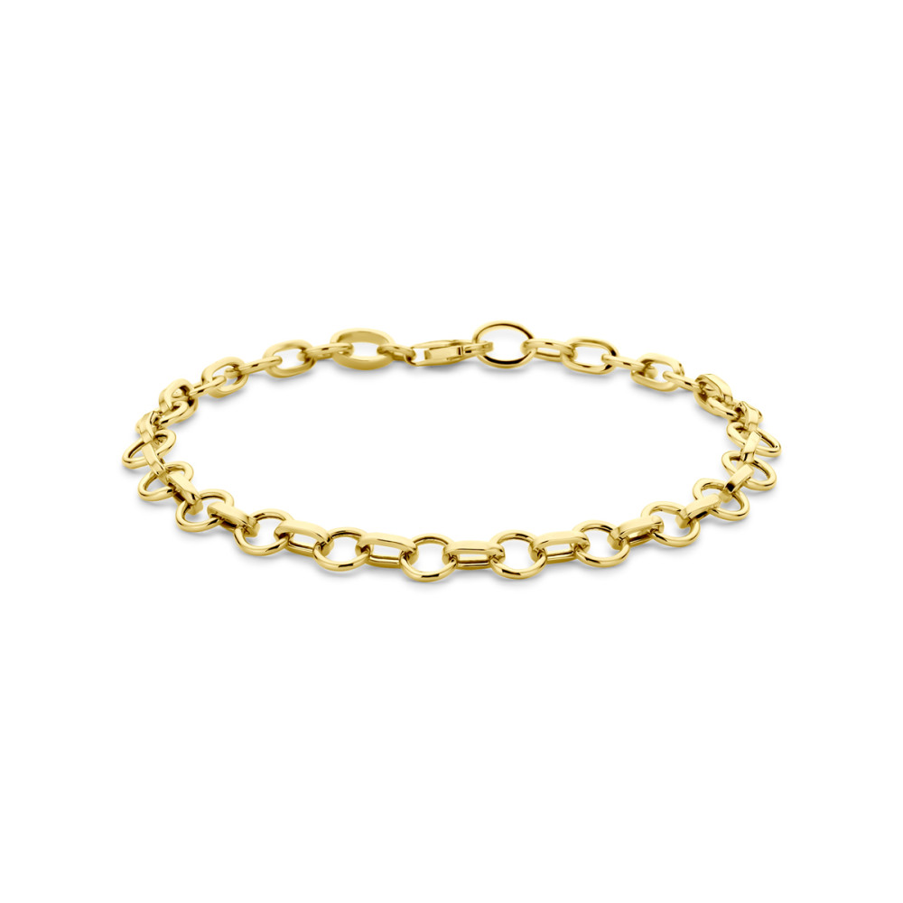 armband-14-karaat-gouden-jasseron-schakels-glanzend-6-mm-breedte-lengte-19-cm