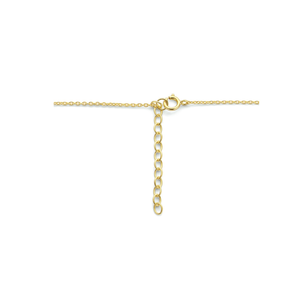 bar-1-6-mm-collier-goud-op-zilver-zonder-hanger-lengte-verstelbaar-40-44-cm
