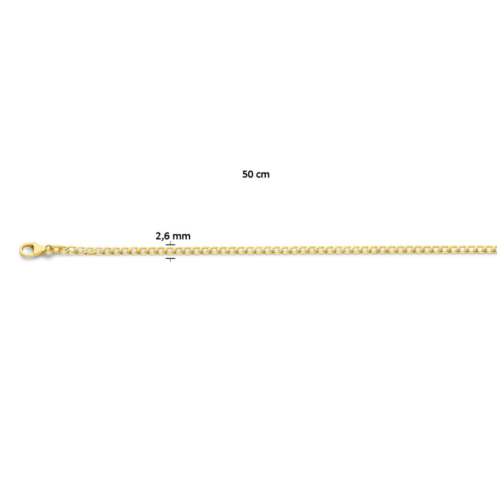 collier-gourmetschakel-2-6-mm-van-14-karaat-goud
