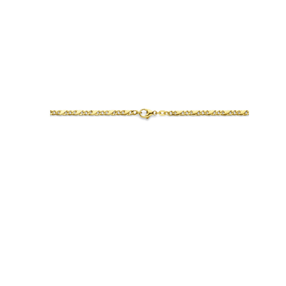 collier-met-gourmetschakel-3-1-mm-van-14-karaat-goud